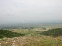 musutiste_17